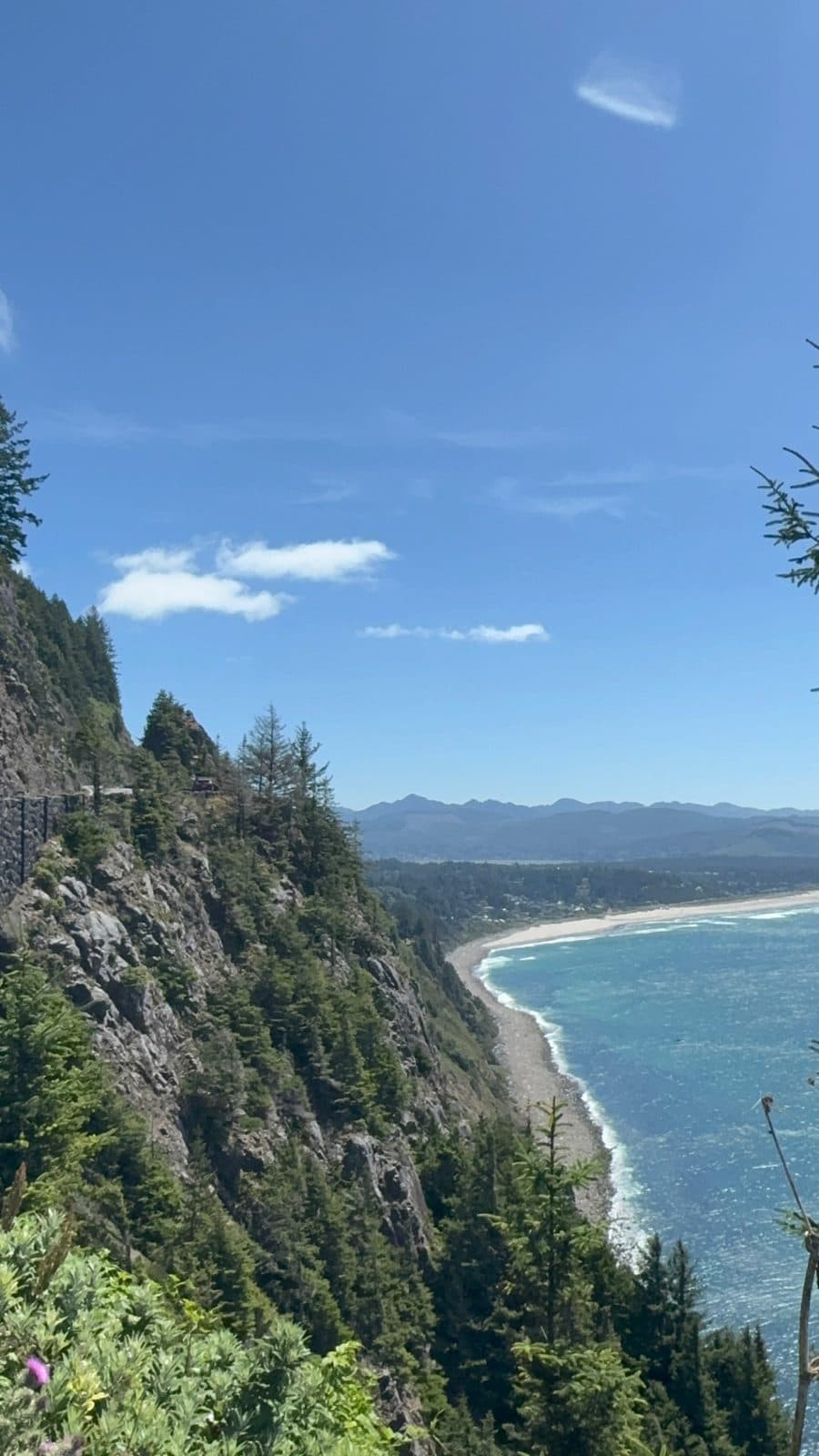 Forested cliff dropping to a curved beach and blue ocean
