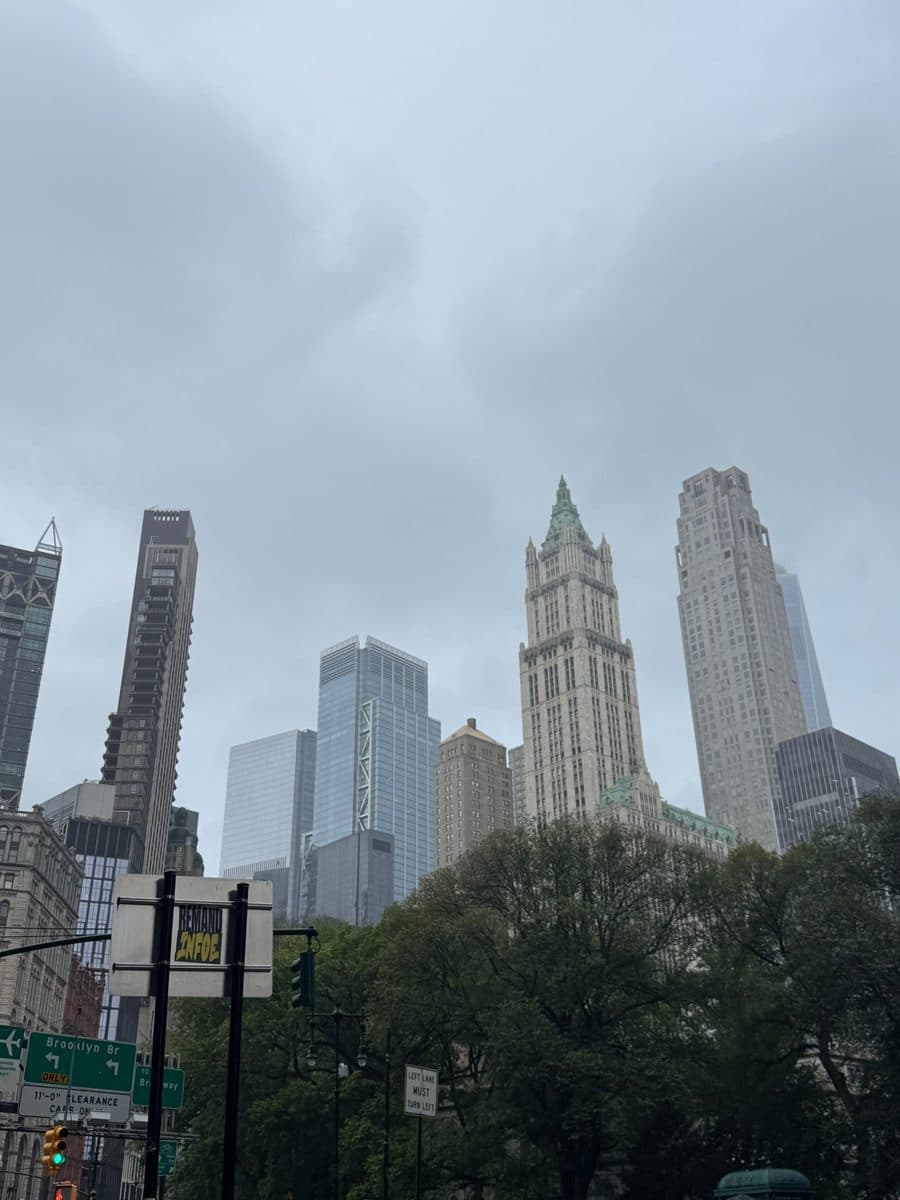 Lower Manhattan skyscrapers under a cloudy sky