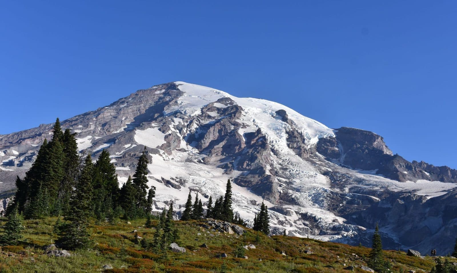 Mount Rainier glaciers above a green and red alpine meadow